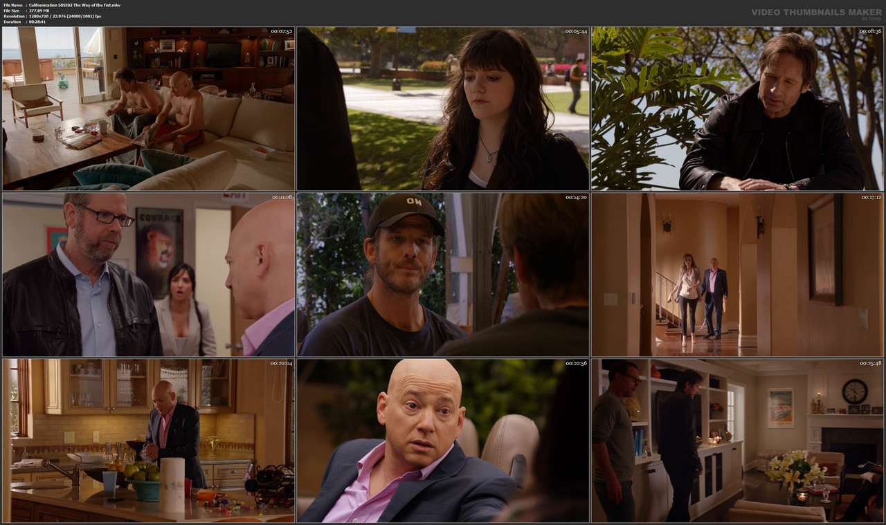 Californication S05E02 The Way of the Fist.mkv