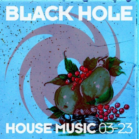 d14a3257 2c78 4e96 a02f 907eeffa5267 - VA - Black Hole House Music 03-23 (2023)