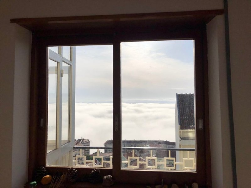 97240806-235754054348205-686696786947368