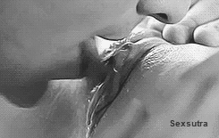 tumblr-milxfs-Yacm1qgl5swo4-250