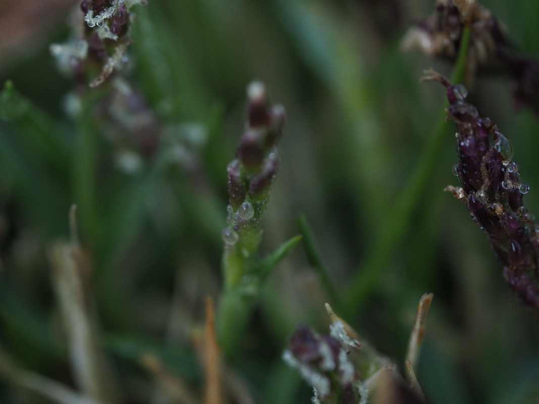 30E8561F-FAA8-449D-8B50-7210111F9A90