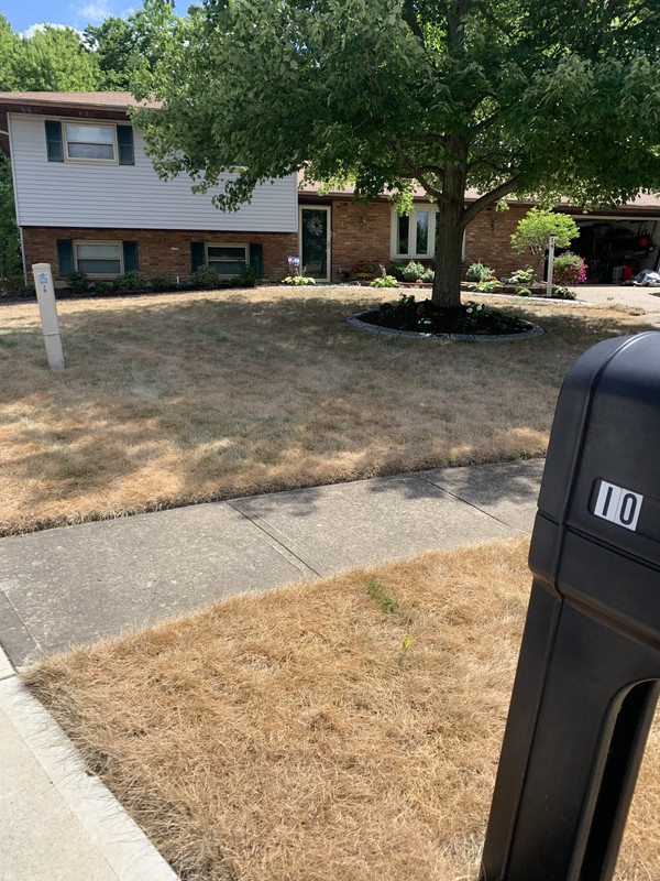 CB34D4FA-0AD5-4973-8DE6-7F79BE6DD1D8