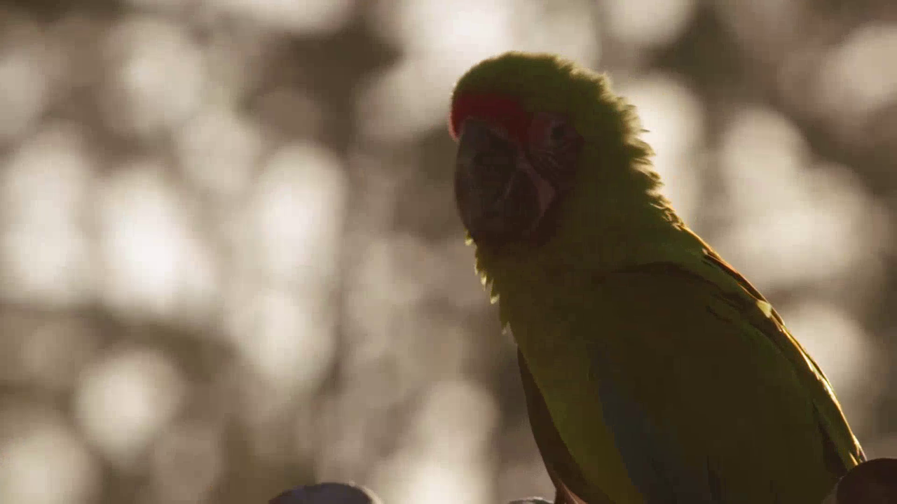 vlcsnap-2022-10-06-21h44m52s727