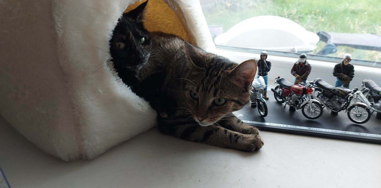 received_2432707726906404(1)