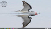 archbang-Screenshot-2024-12-01-17-47-05.jpg