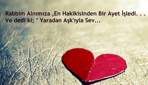 Yaradanını kaç gece düşündün sen?<br />
<span style=