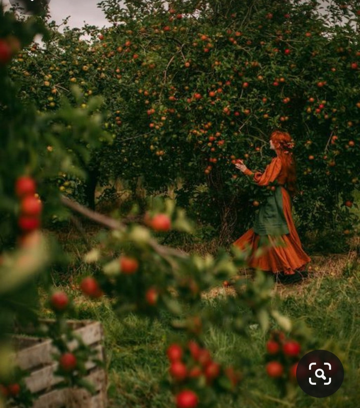 Screenshot_20231127_222351_Pinterest