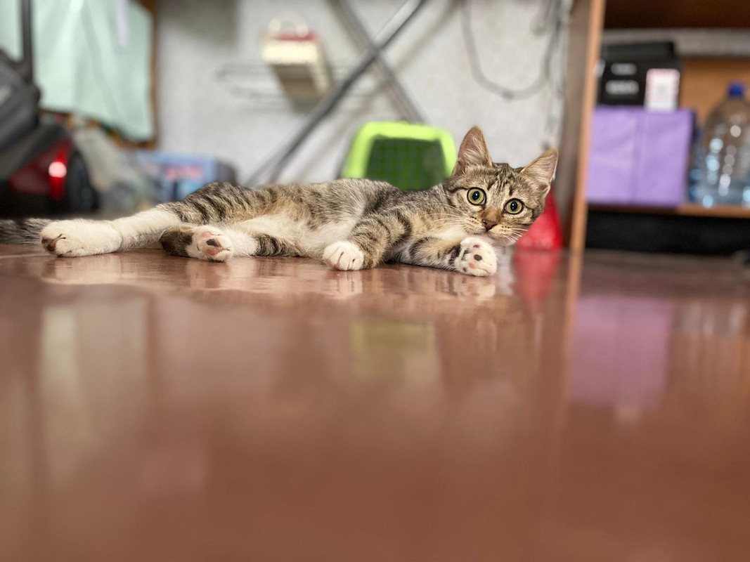 686EB251-DDE0-4F36-933C-8082748320B7