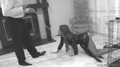 6.gif