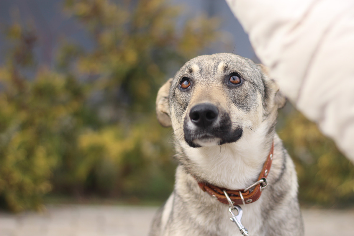 DF66318D-8FEA-4C3E-9D8B-E0D15EF1B0F9