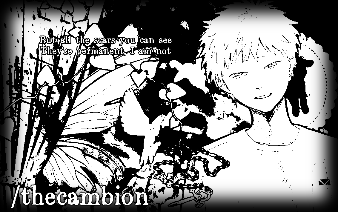 But all the scars you can see They're permanent, and I'm not | /thecambion