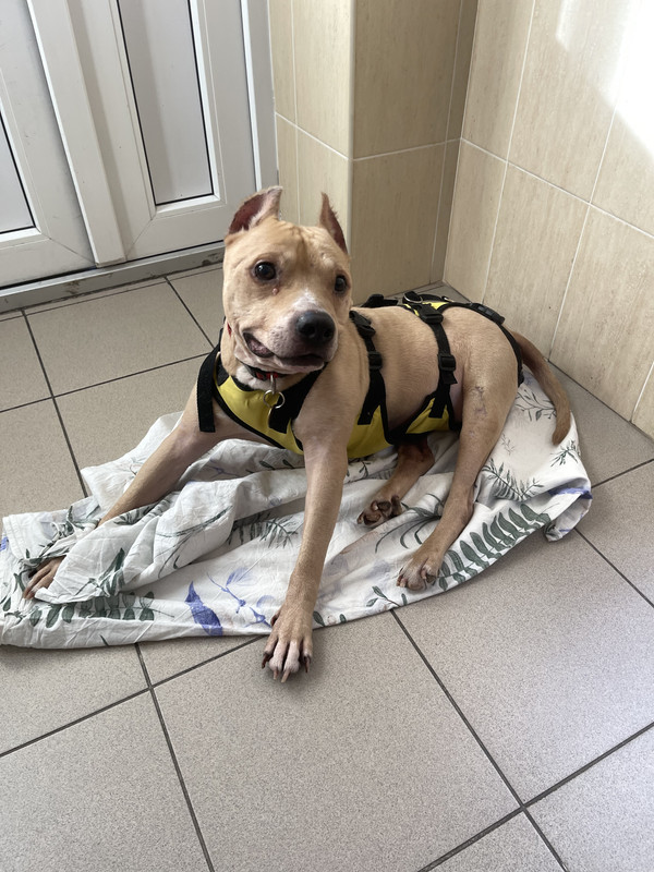 3F51626A-7328-4287-A96B-BE8B72948CEB