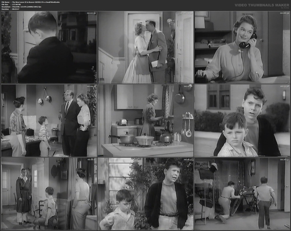 The New Leave It to Beaver S03E01 It's a Small World.mkv