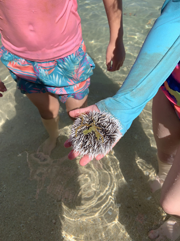 A406A184-078C-4FBF-9434-CF6BFE4BA1E8