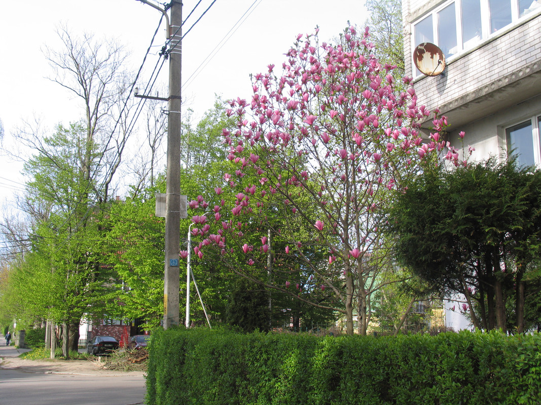 15 апреля 2024 002