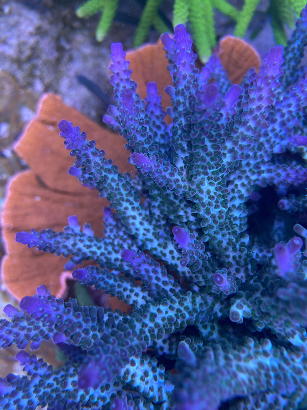 D58E7375-CB1D-4974-A394-E24D8AD34C37