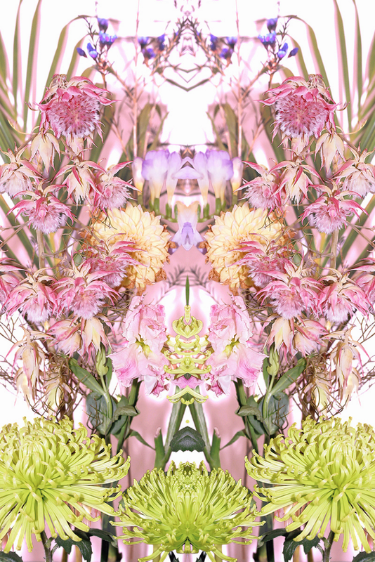 The Brides from another world