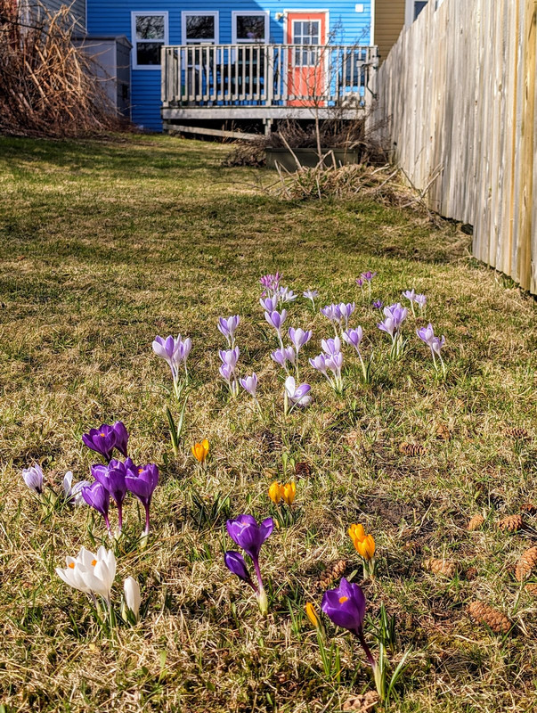 PXL_20240415_190242791.MP