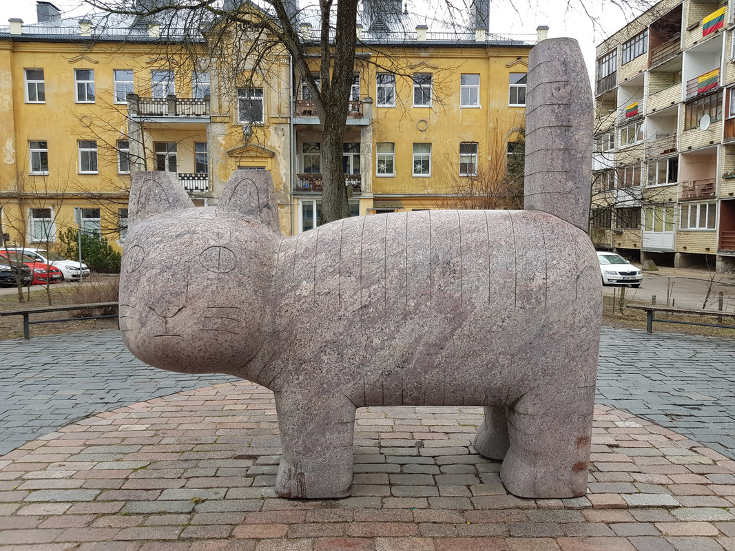20190310-125556.jpg