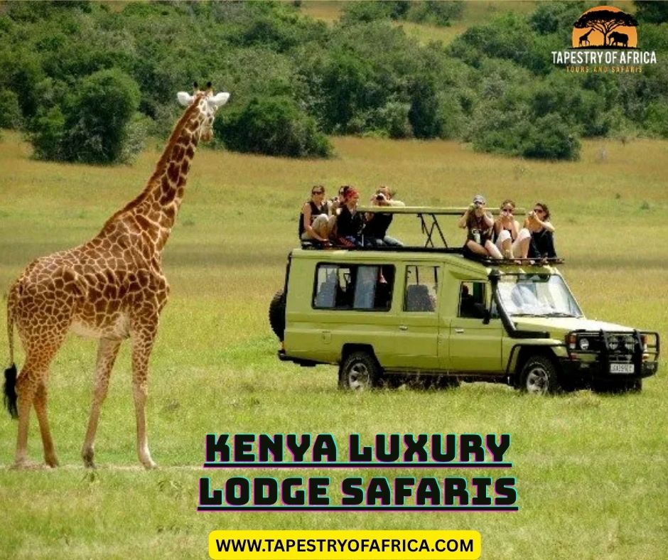 Luxury Safaris in Uganda (40)