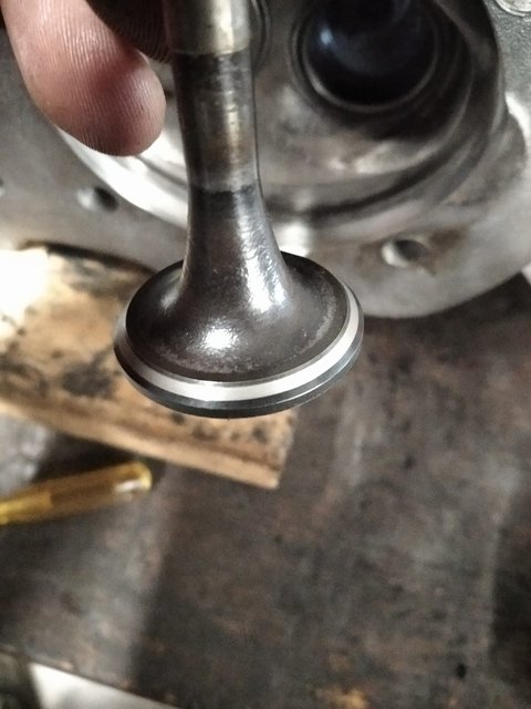 81D688FB-C24D-4734-B9D7-ABFB6E0FA352