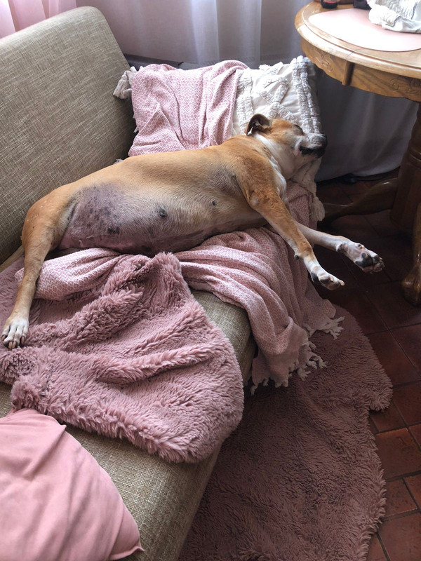 IMG 20251216 WA0014 1