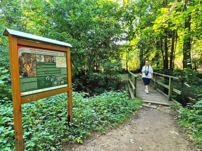 Castillo Zebrack-21-9-2025-Tocnik - República Checa y sus pueblos-2025 (8)