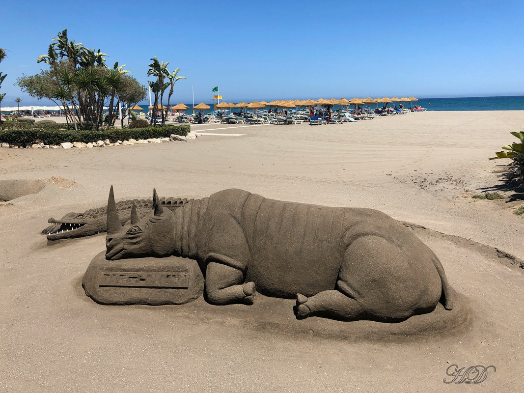 sand-rhinocerous-HD.jpg