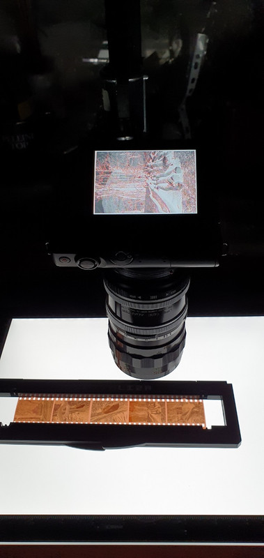 20220213_224925 (606x1280)