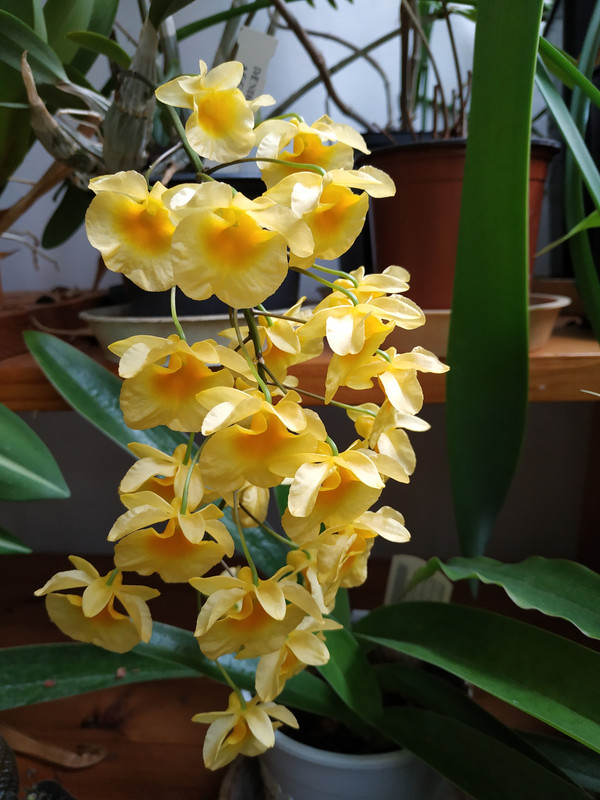 IMG_20190407_133115