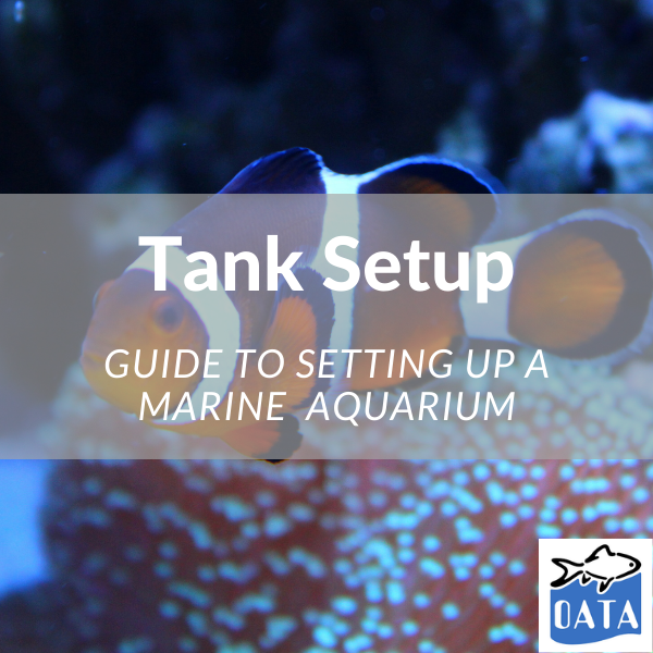 OATA Marine Tank setup guide - Lincs Aquatics 2022. 