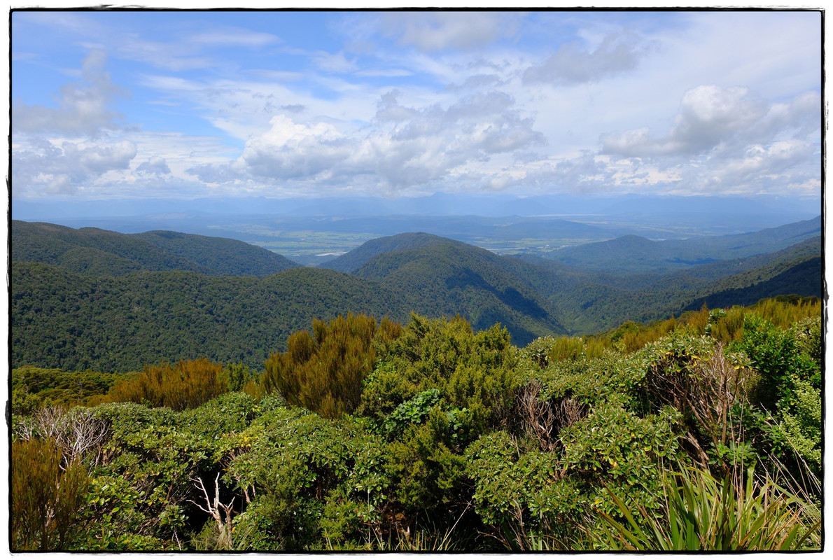 Paparoa NP: Paparoa Track (diciembre 2024) - Escapadas y rutas por la Nueva Zelanda menos conocida (5)