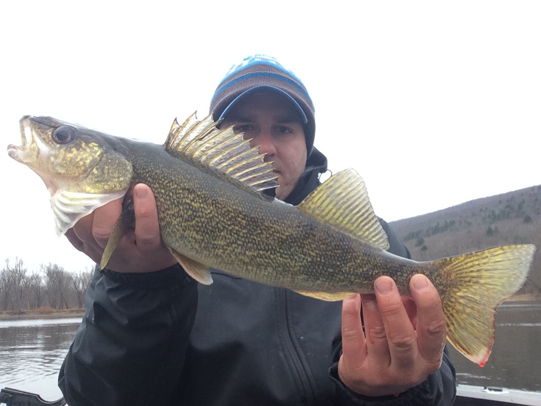 F4119BAF-8020-40EE-9076-0A8263DEDB6B