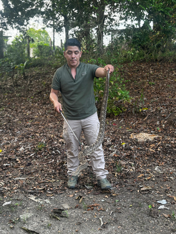 Whats-App-Image-2026-04-25-at-11-49-20-PM