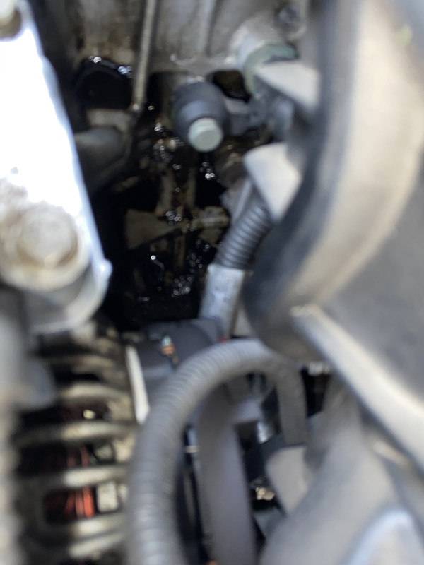 DBDC167A-D8DC-46EE-9C5A-5DBC9AE4EEFD