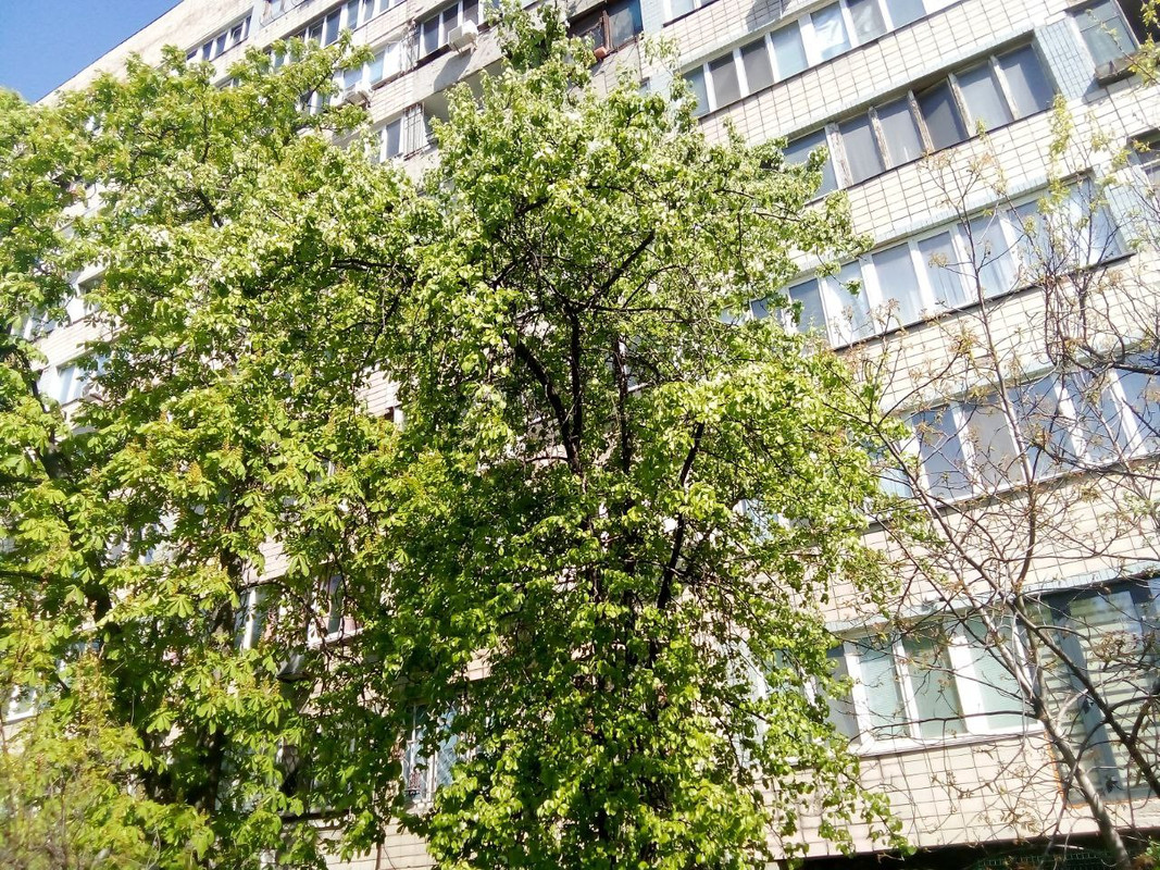 photo_2025-04-22 9.55.34 пп