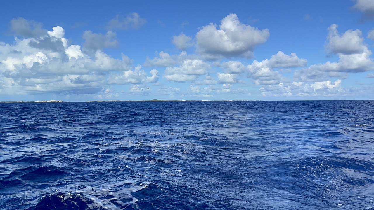 8F3C5DA9-6BF0-4194-8860-49096A437DF9