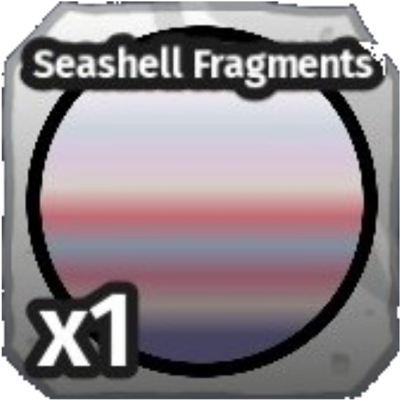 Seashell Fragments