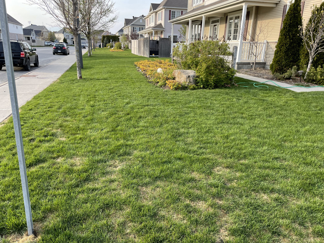 2730C225-1517-4DD9-9B46-90A3D60C4575