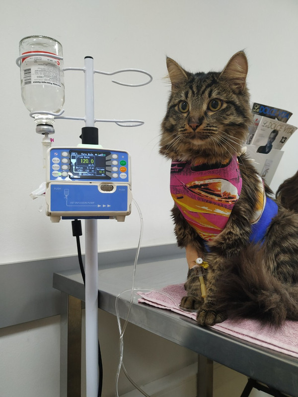 A964E935-3709-4875-A1CA-6978A99EE664