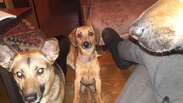 8784F3F3-F5F3-4509-8B64-07AD2BED3958