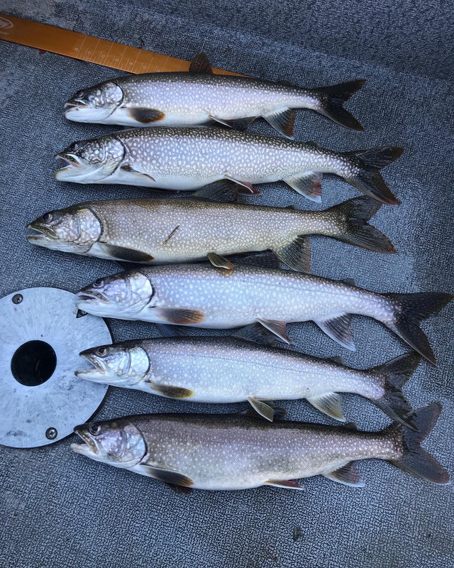 1B1EAA96-0474-4070-8CAE-5ED690DB1D0F