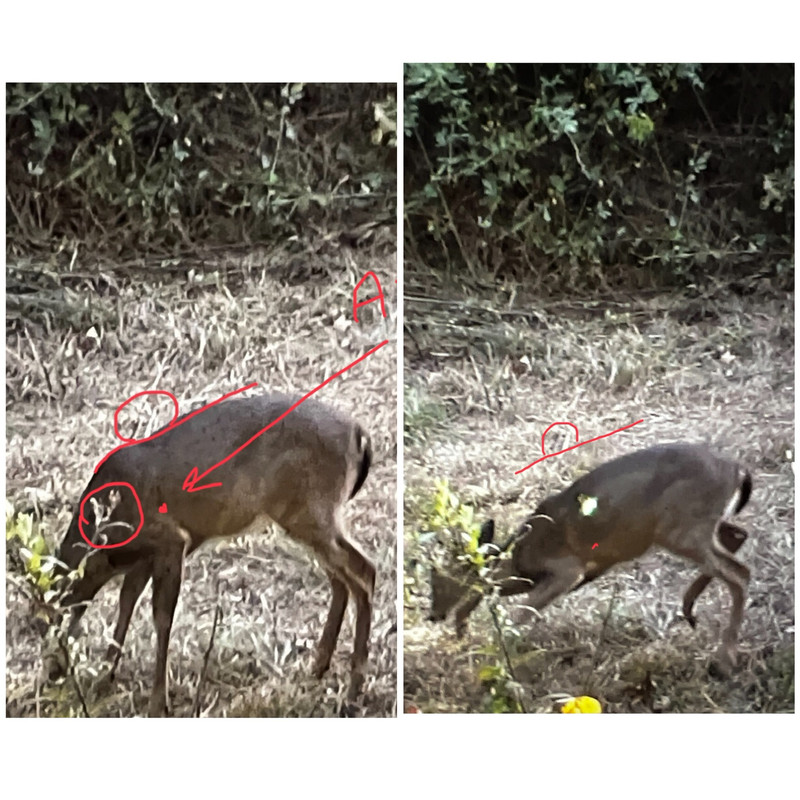 03494B4B-77B1-4F11-9BDA-94925F8099BB