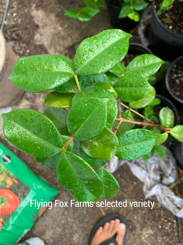 FE6503FC-34C9-4A33-ABE1-6B82C4CD8823