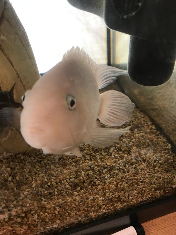 62CF4033-3326-4A6A-AD0C-B1254D3D02EC