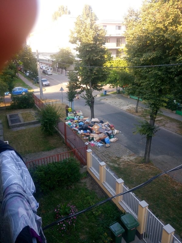 Kép