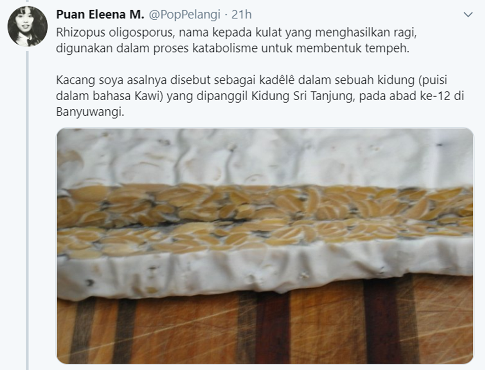 tempe itu kulat