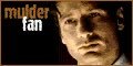 mulder-fan-buttn