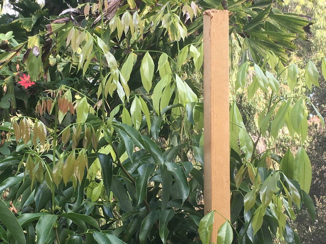 FB1DA482-97D6-4C61-8B50-A486A58CB2B4