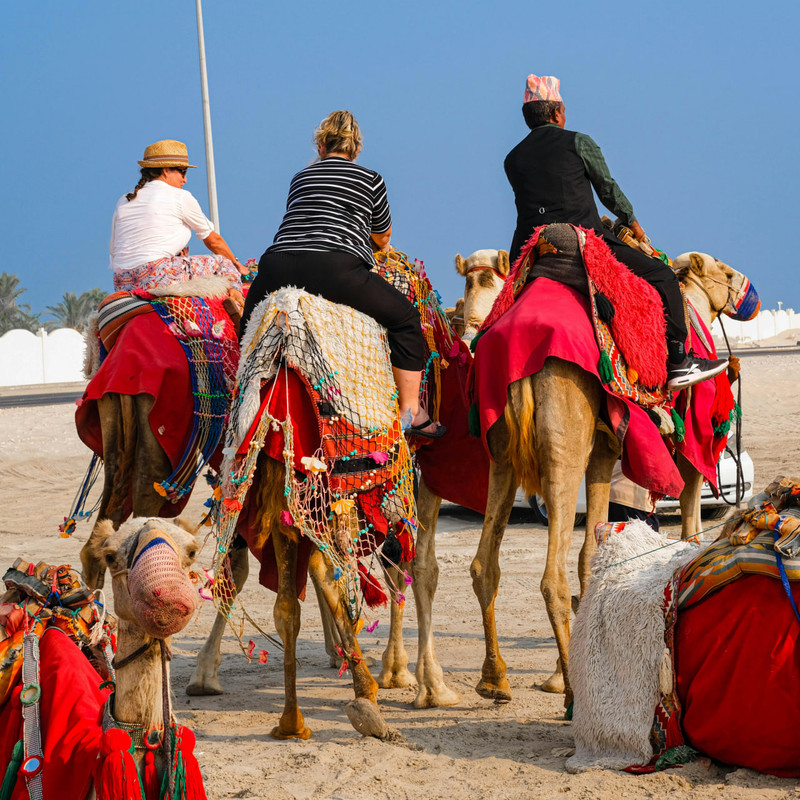 Tourists riding camels in the Dubai desert